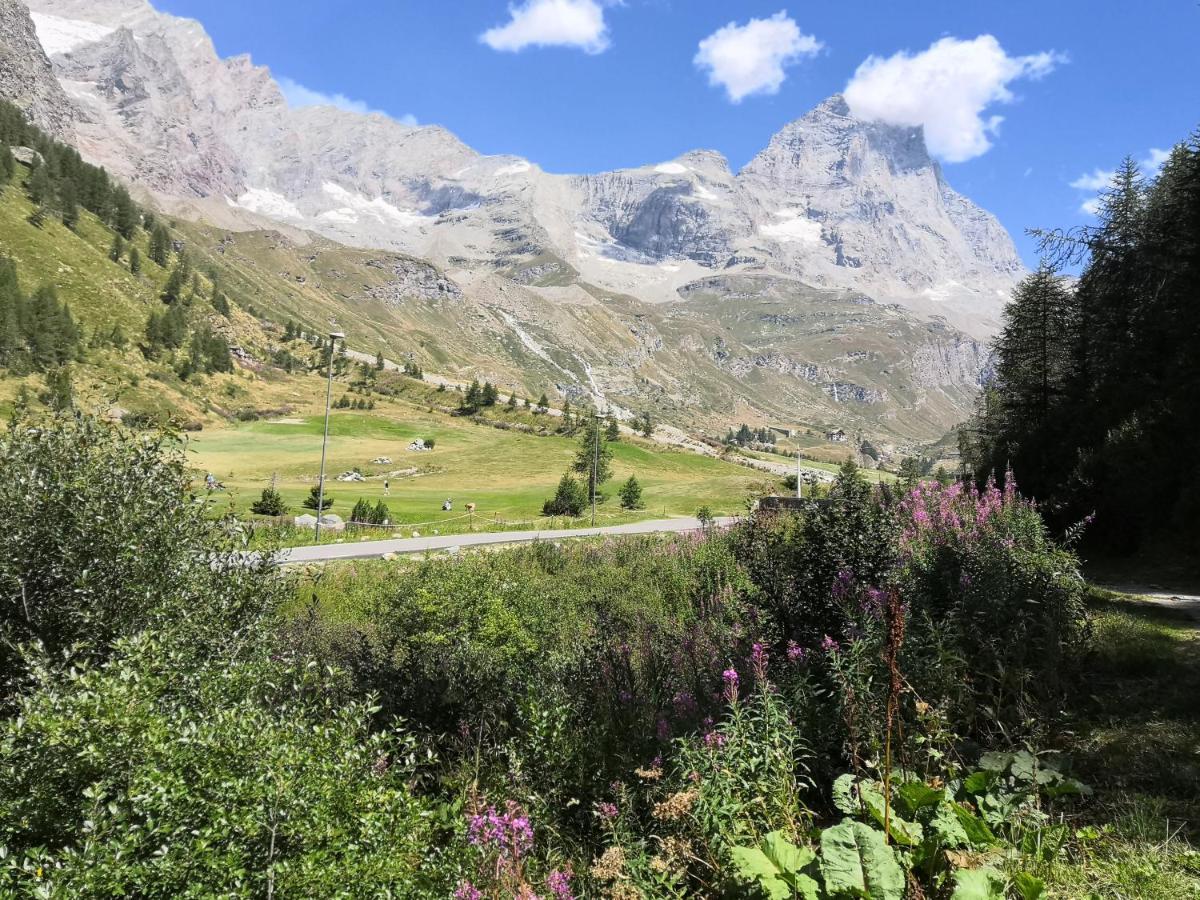 דירות ברויל-קרוויניה Le Petit Refuge Cervinia מראה חיצוני תמונה